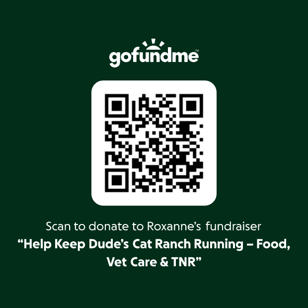 GoFundMe QR code